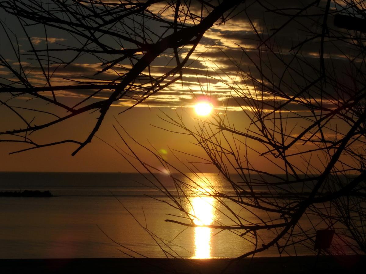 Esperia 23 Daire Lido di Pomposa Dış mekan fotoğraf